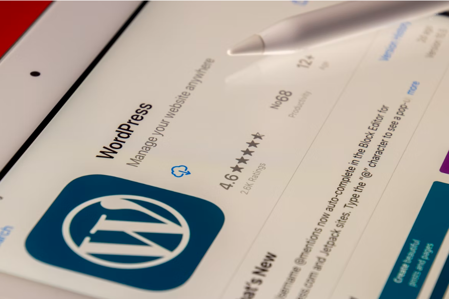 3 Things to Pay Attention to When Choosing a WP Theme