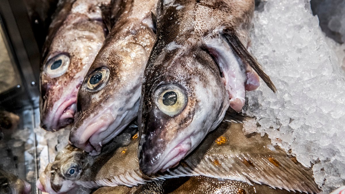 Eating a lot of fish increases the risk of developing skin cancer