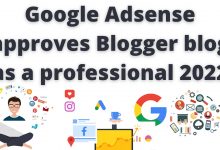 Google Adsense approves Blogger as a Professional 2022